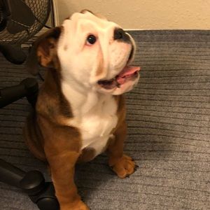 Meet your Posher, Juan